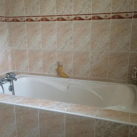 Biscarrosse-villa Classee 3 Etoiles, 4 Personnes, 2 Chambres, 2 Sdb, Entre Lacs Et Ocean, Grande Piscine Privee Ouverte En Saison *